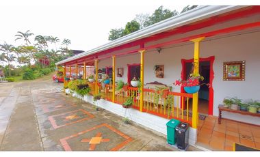 FINCA EN VENTA - BUENAVISTA (QUINDO)