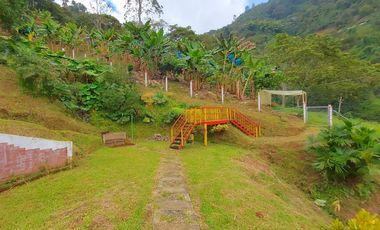 FINCA EN VENTA - BUENAVISTA (QUINDO)