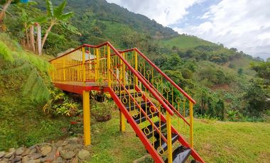 FINCA EN VENTA - BUENAVISTA (QUINDO)