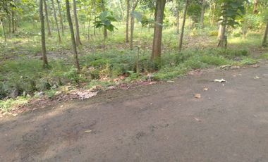 Cuma 500Rb/m: Tanah Murah Polokarto
