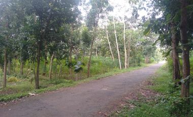 Cuma 500Rb/m: Tanah Murah Polokarto