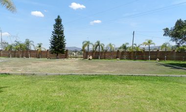 CASA EN RENTA EN ZAPOTLANEJO
