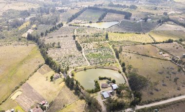 finca en venta en villa de leyva. Cod V9569714