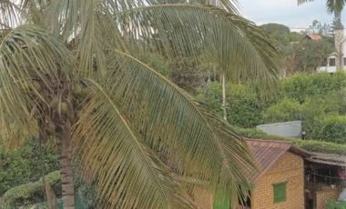 finca en venta en cerritos. Cod V18723