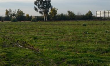 TERRENO DE 8 HECTÁREAS, A UN COSTADO DE CARRETERA 5 SUR.