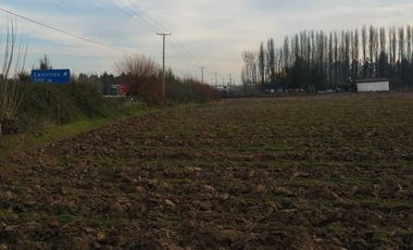 TERRENO DE 8 HECTÁREAS, A UN COSTADO DE CARRETERA 5 SUR.