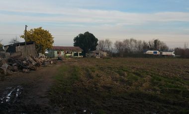 TERRENO DE 8 HECTÁREAS, A UN COSTADO DE CARRETERA 5 SUR.