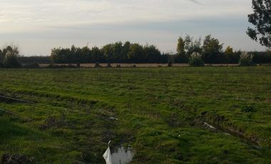 TERRENO DE 8 HECTÁREAS, A UN COSTADO DE CARRETERA 5 SUR.