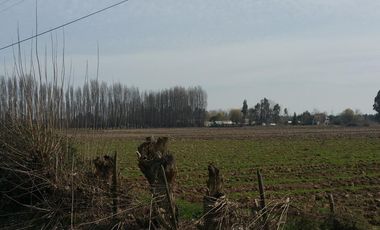 TERRENO DE 8 HECTÁREAS, A UN COSTADO DE CARRETERA 5 SUR.