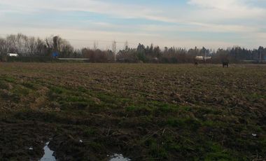 TERRENO DE 8 HECTÁREAS, A UN COSTADO DE CARRETERA 5 SUR.