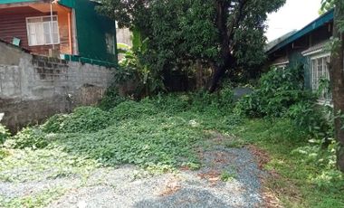 Vacant Residential Lot in Santo Tomas, Pasig For Sale