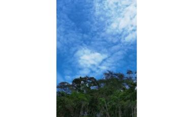 Lotes de Terreno en Venta- Tarapoto