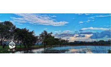 Lotes de Terreno en Venta- Tarapoto