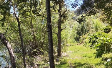 Campo de 61 ha. Borde río Bio Bio,  Lonquimay