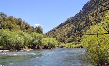 Campo de 61 ha. Borde río Bio Bio,  Lonquimay