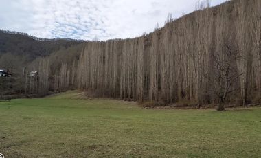 Campo de 61 ha. Borde río Bio Bio,  Lonquimay