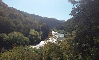 Campo de 61 ha. Borde río Bio Bio,  Lonquimay