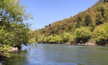 Campo de 61 ha. Borde río Bio Bio,  Lonquimay