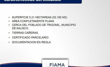 HECTAREAS EN VENTA EN EL POBLADO DE TRIGOMIL (EL)
