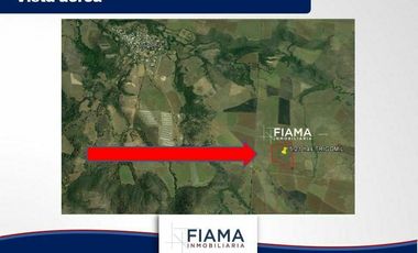 HECTAREAS EN VENTA EN EL POBLADO DE TRIGOMIL (EL)