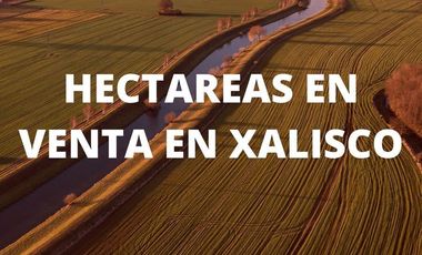 HECTAREAS EN VENTA EN EL POBLADO DE TRIGOMIL (EL)