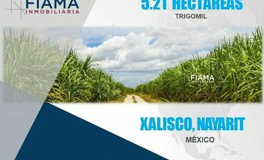 HECTAREAS EN VENTA EN EL POBLADO DE TRIGOMIL (EL)