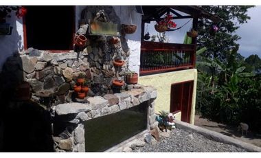 VENTA FINCA CAFETERA,TAMESIS SUROESTE ANTIOQUEÑO
