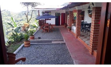 VENTA FINCA CAFETERA,TAMESIS SUROESTE ANTIOQUEÑO