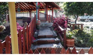 VENTA FINCA CAFETERA,TAMESIS SUROESTE ANTIOQUEÑO