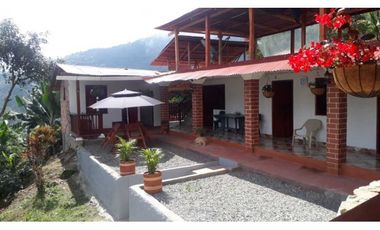 VENTA FINCA CAFETERA,TAMESIS SUROESTE ANTIOQUEÑO