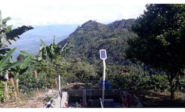 VENTA FINCA CAFETERA,TAMESIS SUROESTE ANTIOQUEÑO
