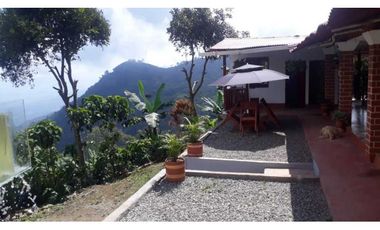 VENTA FINCA CAFETERA,TAMESIS SUROESTE ANTIOQUEÑO