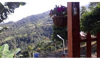 VENTA FINCA CAFETERA,TAMESIS SUROESTE ANTIOQUEÑO