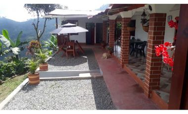 VENTA FINCA CAFETERA,TAMESIS SUROESTE ANTIOQUEÑO