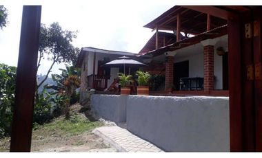 VENTA FINCA CAFETERA,TAMESIS SUROESTE ANTIOQUEÑO