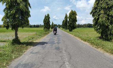 Timur Pasar Grabag: Cocok Hunian & Villa