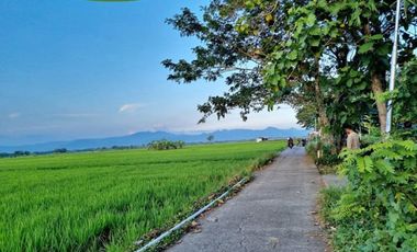 Timur Pasar Grabag: Cocok Hunian & Villa