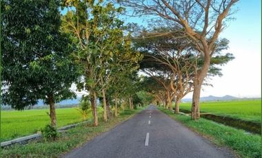 Timur Pasar Grabag: Cocok Hunian & Villa