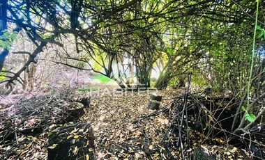 Casa en Venta en COD36717 Avenida Alemania