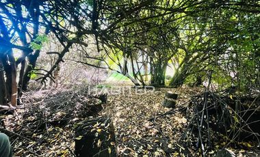 Casa en Venta en COD36717 Avenida Alemania