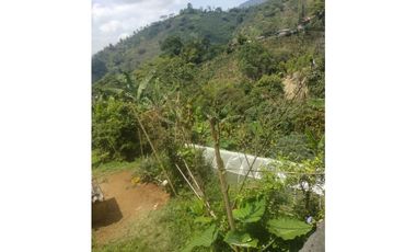 SE VENDE FINCA DE CASI DOS CUADRAS EN CULTIVOS