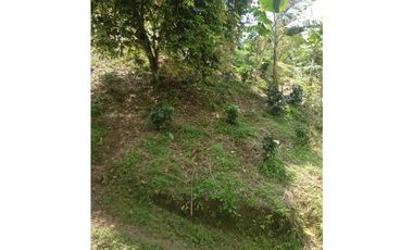 SE VENDE FINCA DE CASI DOS CUADRAS EN CULTIVOS