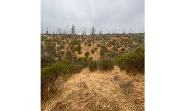 QUILPUÉ / VALLE VERDE / PARCELA 5.000 M2