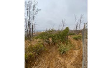 QUILPUÉ / VALLE VERDE / PARCELA 5.000 M2