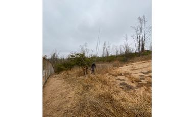 QUILPUÉ / VALLE VERDE / PARCELA 5.000 M2