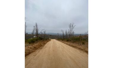 QUILPUÉ / VALLE VERDE / PARCELA 5.000 M2