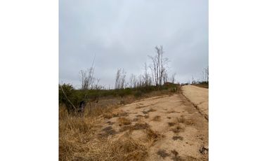 QUILPUÉ / VALLE VERDE / PARCELA 5.000 M2