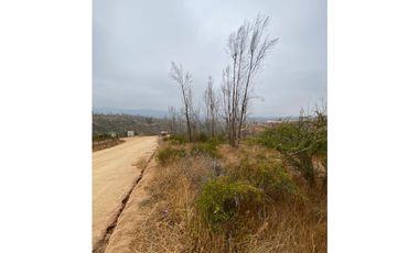 QUILPUÉ / VALLE VERDE / PARCELA 5.000 M2