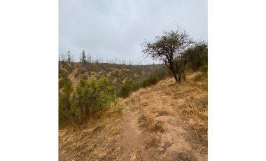 QUILPUÉ / VALLE VERDE / PARCELA 5.000 M2