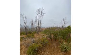 QUILPUÉ / VALLE VERDE / PARCELA 5.000 M2